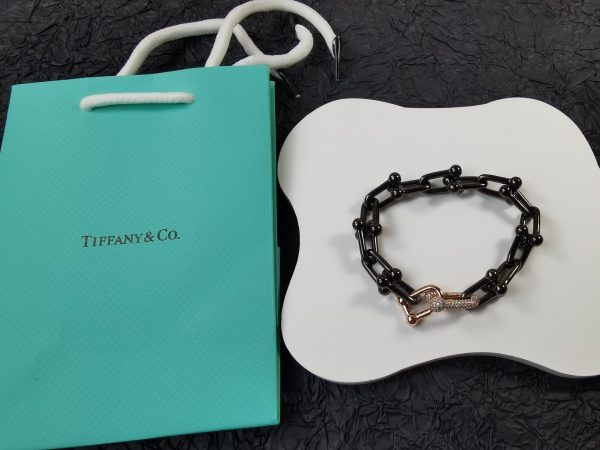 18K T HardWear Titanium Bracelet - 图片 2