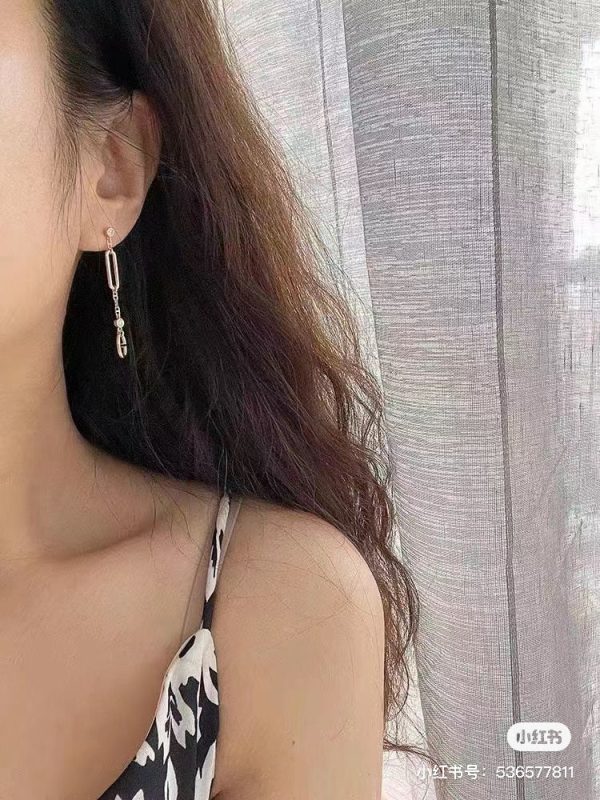 18K Chaine D'ancre Chaos H Earrings - 图片 5