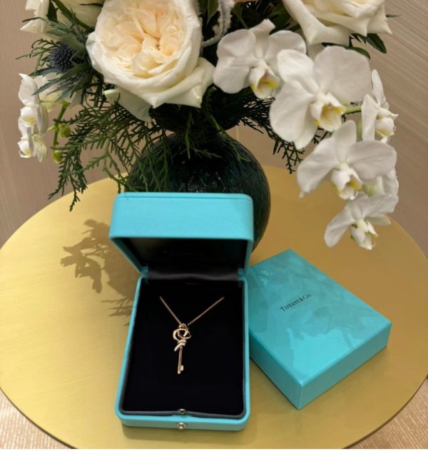 18K T Keys Woven Diamonds Medium Necklace - 图片 8