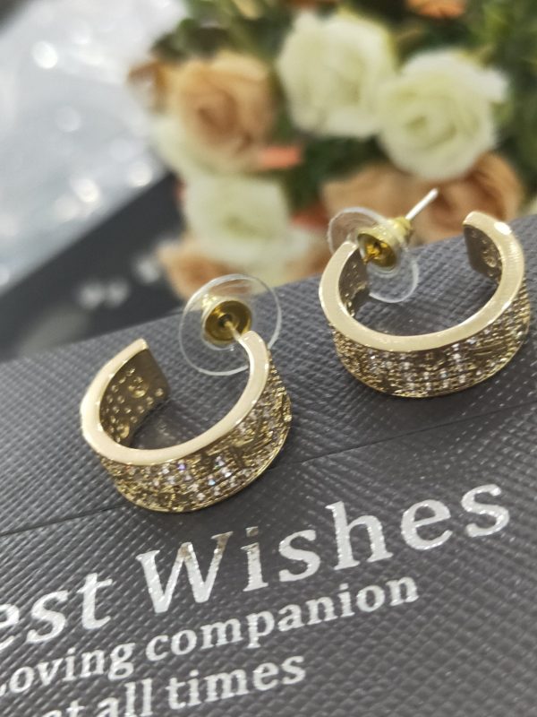 18K Louis Circle Earrings - 图片 8
