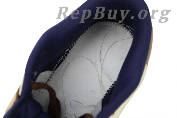 Top Version Nike Dunk Low Heart of Chestnuts FV8106-361 - 图片 9