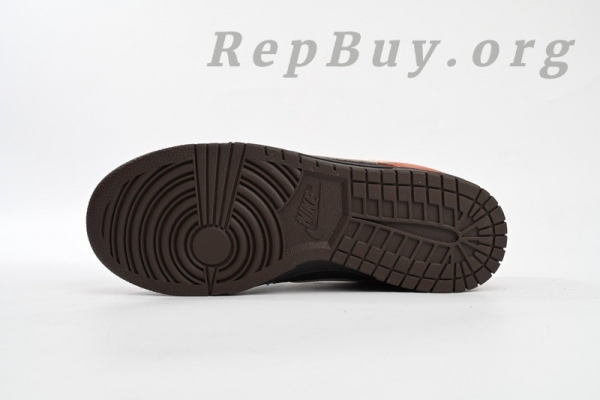 Top Version Nike Dunk Low Red Panda FV0395-200 - 图片 5