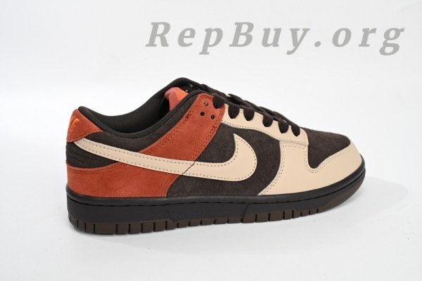 Top Version Nike Dunk Low Red Panda FV0395-200 - 图片 9