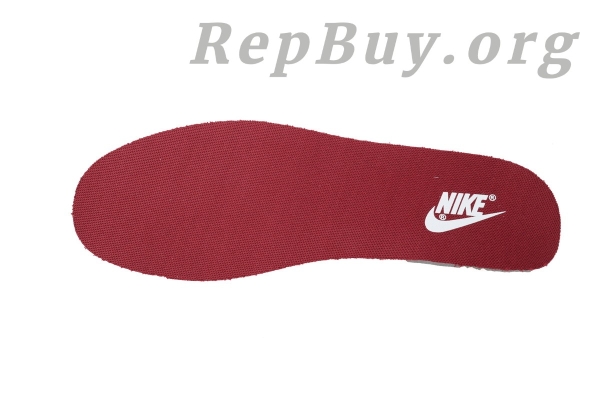 Top Version Nike Dunk Low Spring DD1391-601 - 图片 7