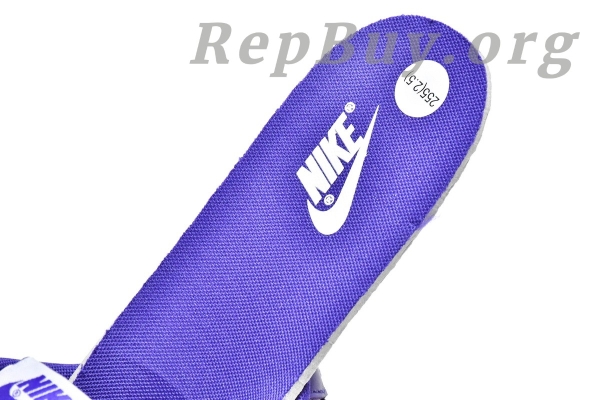 Top Version Nike Dunk Low Championship Court Purple DD1391-104 - 图片 12