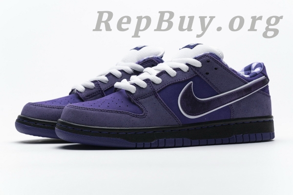 Top Version Nike SB Dunk Low Concepts Purple Lobster BV1310-555 - 图片 6