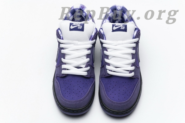 Top Version Nike SB Dunk Low Concepts Purple Lobster BV1310-555 - 图片 8