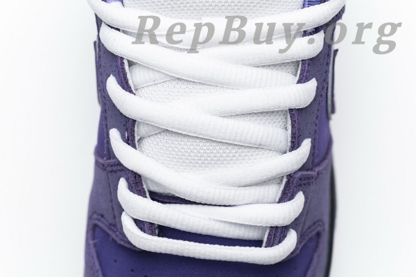 Top Version Nike SB Dunk Low Concepts Purple Lobster BV1310-555 - 图片 18