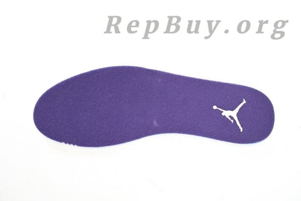 Top Version Air Jordan 12 Retro PAICU CT8013-150 - 图片 10