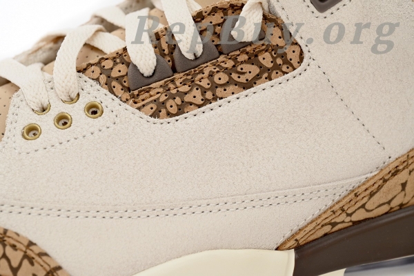 Top Version Air Jordan 3 Retro Palomino CT8532-102 - 图片 6