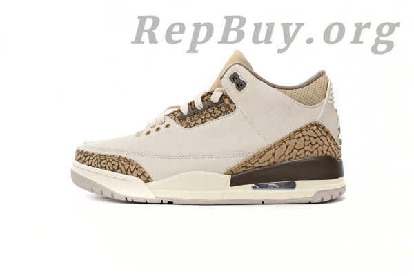 Top Version Air Jordan 3 Retro Palomino CT8532-102