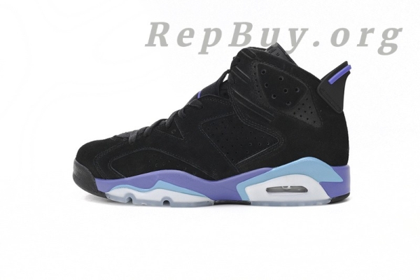 Top Version Air Jordan 6 GRAPE CT8529-004