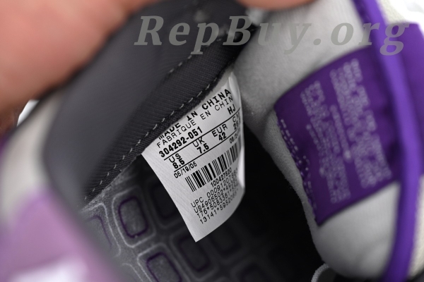 Top Version Nike SB Dunk Low Purple Pigeon 304292-051 - 图片 9