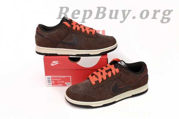 [Sale] Nike Dunk Low Baroque Brown DQ8801-200 - 图片 10